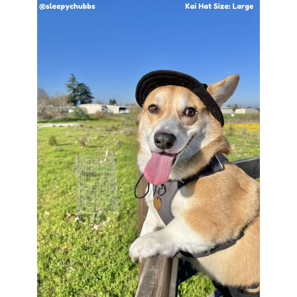 Kai Dog Bucket Hat (Black) - PAWTY THINGS