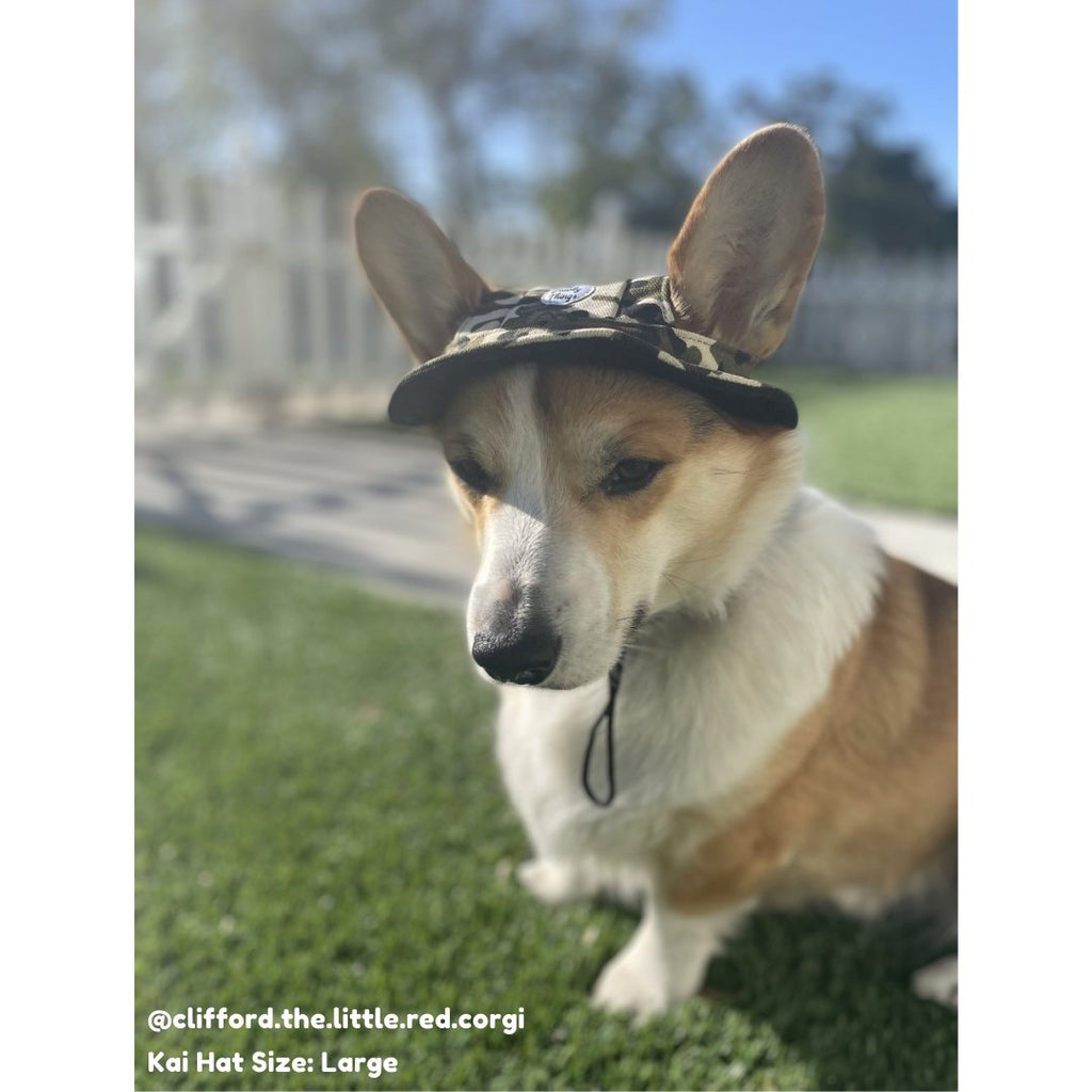 Kai Dog Bucket Hat (Camo) - PAWTY THINGS