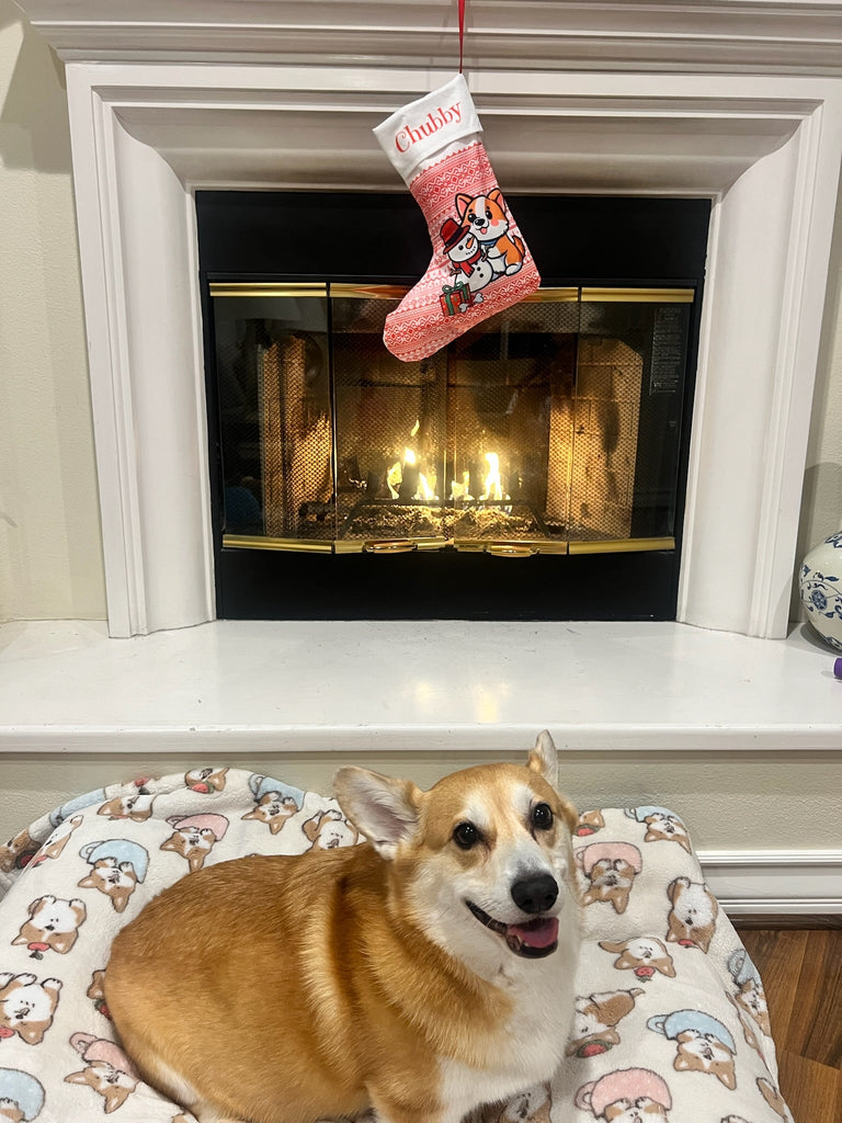 Custom Corgi - mas Stocking - PAWTY THINGS