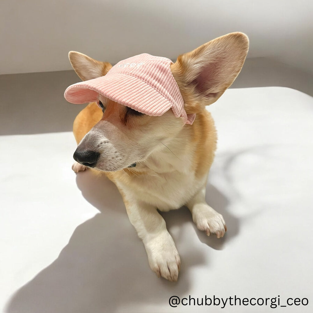 Woof Corduroy Hat (Baby Pink) - PAWTY THINGS