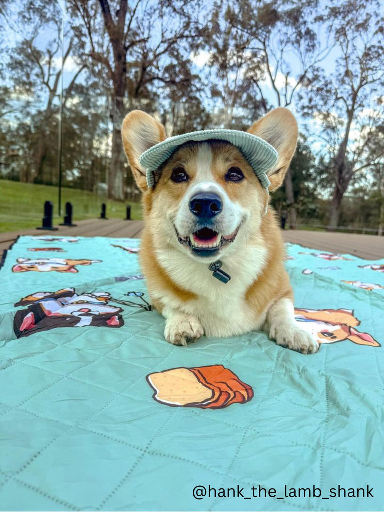 Woof Corduroy Hat (Mint Green) - PAWTY THINGS