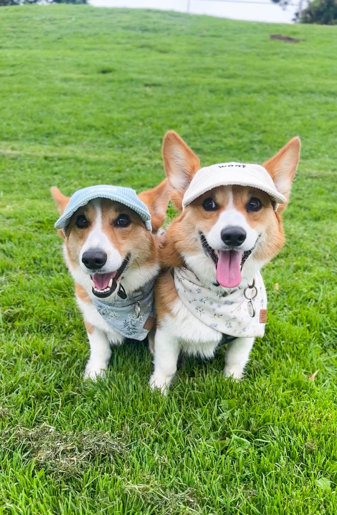 Woof Corduroy Hat (Mint Green) - PAWTY THINGS
