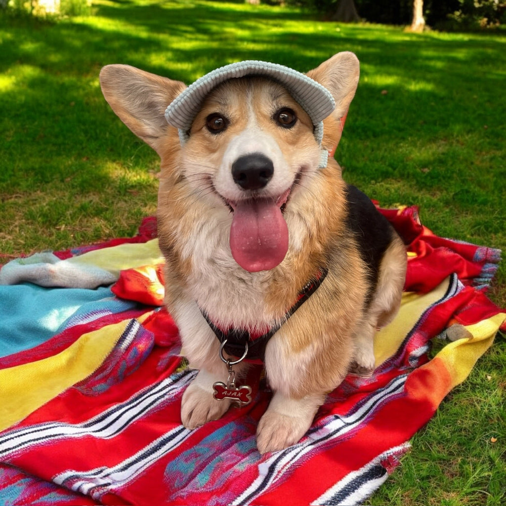 Woof Corduroy Hat (Mint Green) - PAWTY THINGS