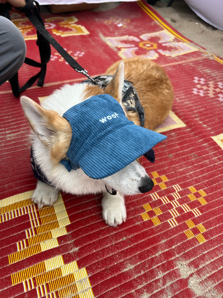 Woof Corduroy Hat (Navy) - PAWTY THINGS