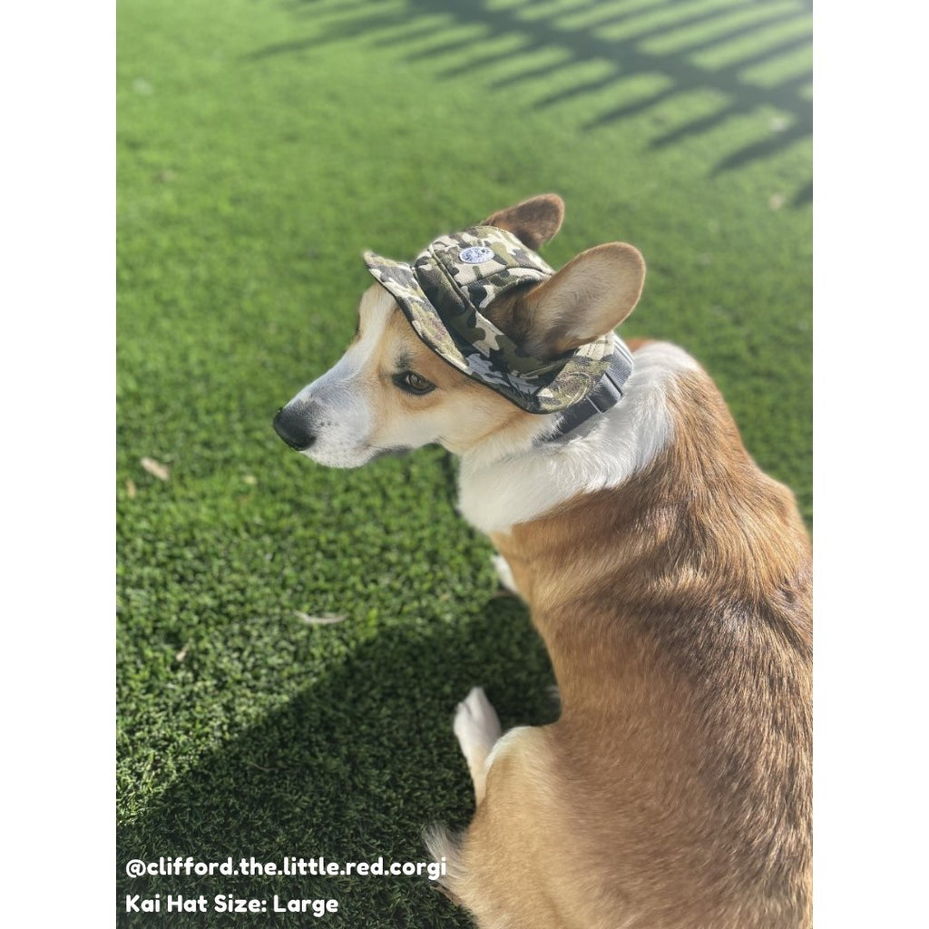 Kai Dog Bucket Hat (Camo) - PAWTY THINGS