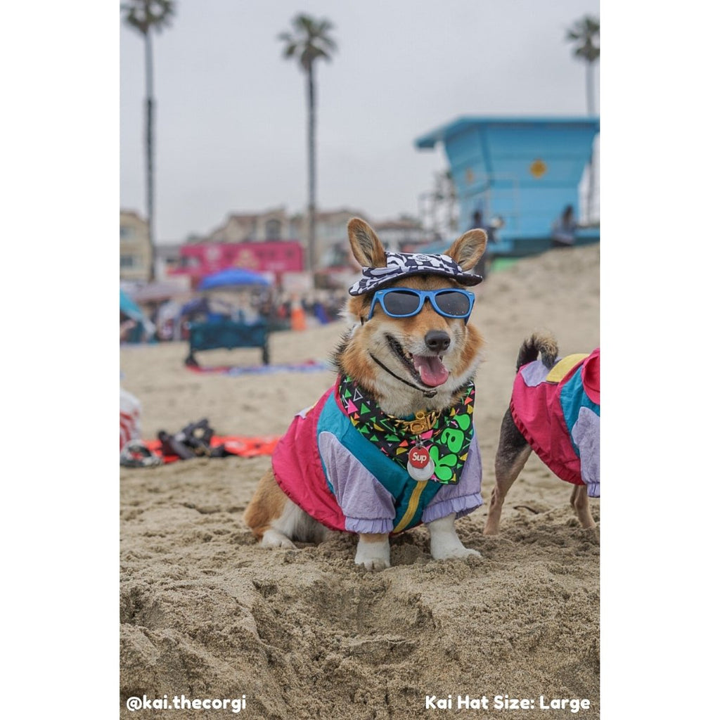 Kai Dog Bucket Hat (Navy/White) - PAWTY THINGS