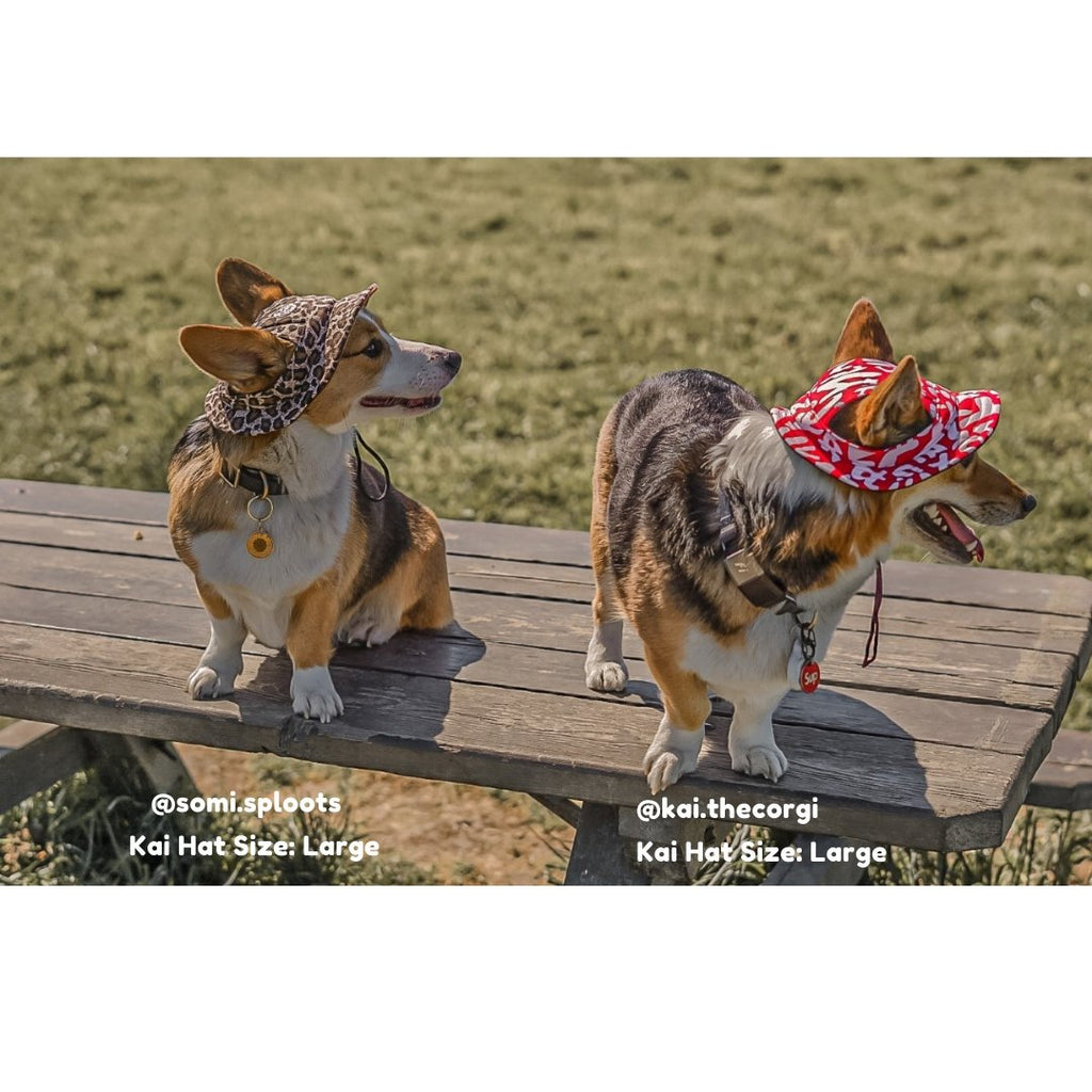 Kai Dog Bucket Hat (Red/White) - PAWTY THINGS