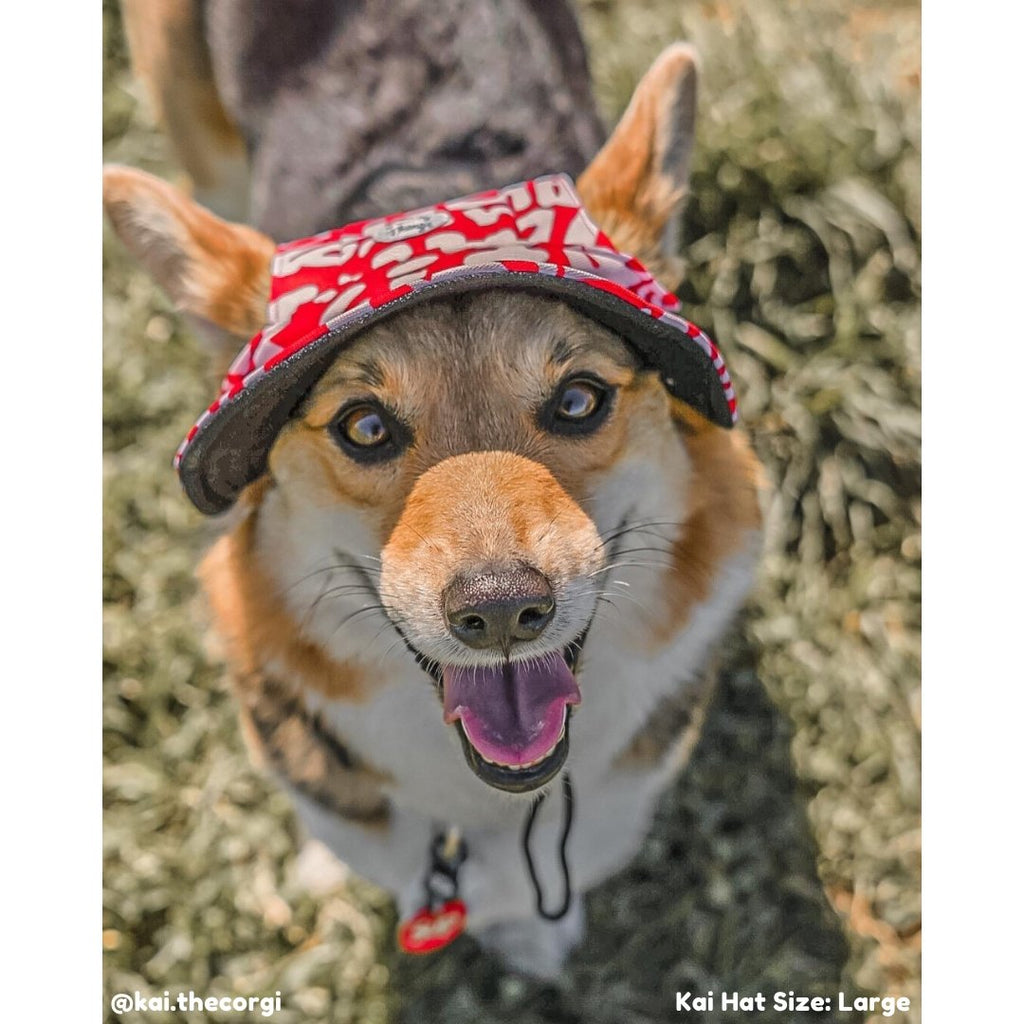 Kai Dog Bucket Hat (Red/White) - PAWTY THINGS