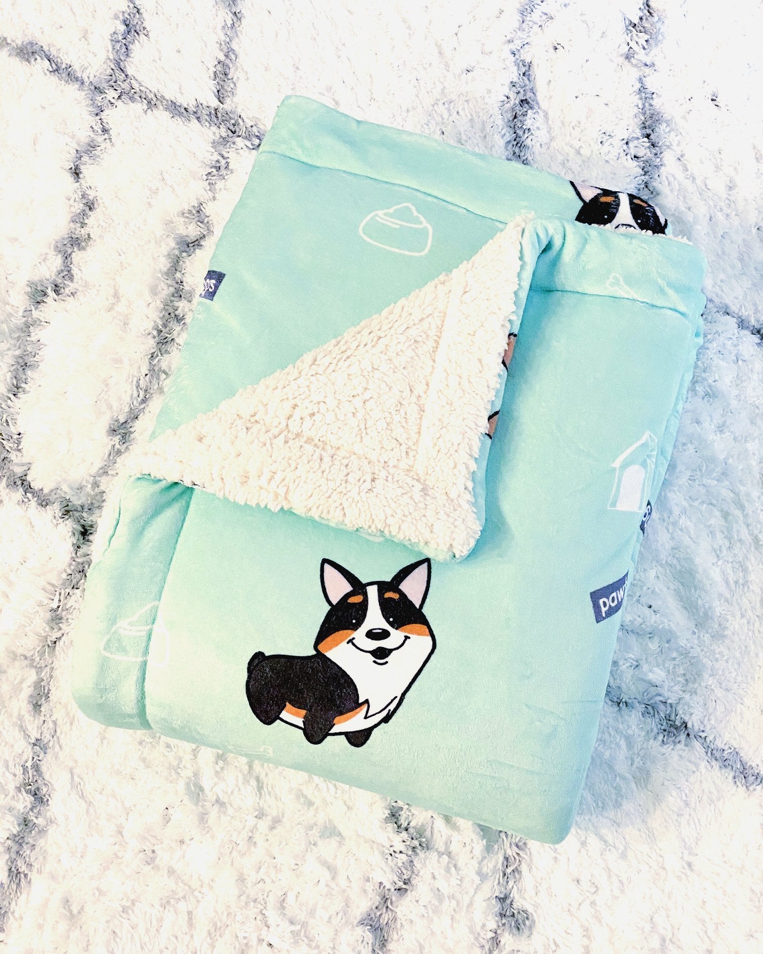 Corgi blanket 2025